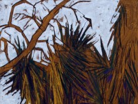 Yuca    54x81cm acrÃ­lico/lienzo   2015
